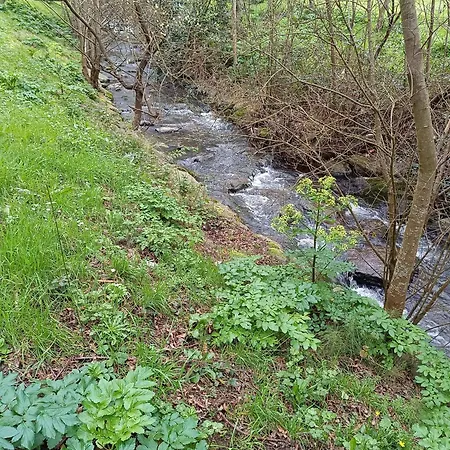 Apartment Y Urdaibai - Parking-ascensor - Wifi - Tranquilo