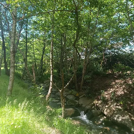 Y Urdaibai - Parking-ascensor - Wifi - Tranquilo דירה ברמאו