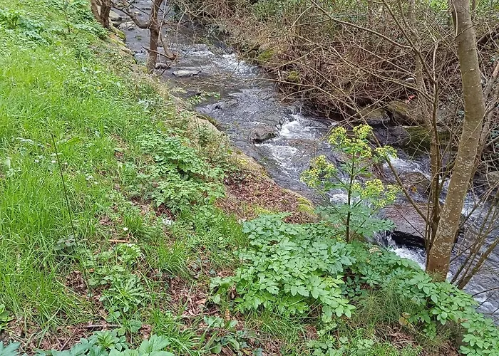 Apartment Y Urdaibai - Parking-ascensor - Wifi - Tranquilo